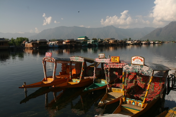 6 shikaras in the dal lake.JPG